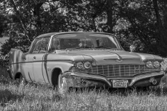 20220526-20220526-IMG_7444-Bearbeitet