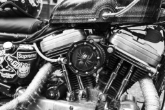 20220526-20220526-IMG_7578