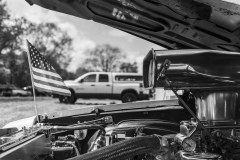 20230518-20230518-IMG_9138