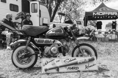 20230518-20230518-IMG_9145