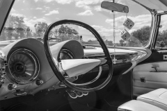 20230518-20230518-IMG_9219