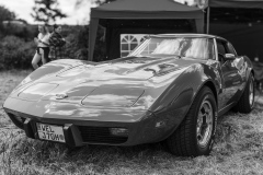 20230518-20230518-IMG_9234