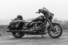 20240330-20240330-IMG_3778