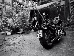 20240921-20240921-IMG_2443_jpg