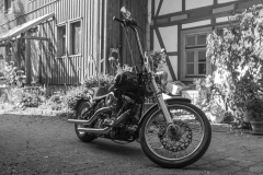 20240921-20240921-IMG_6771