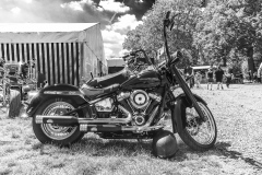 20241115-20241115-rec-1442