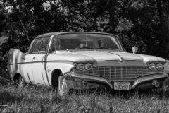 20241115-20241115-rec-2