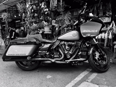 20250112-IMG_2850_jpg