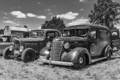 20250619-20250619-IMG_0624