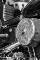 20250619-20250619-IMG_0648