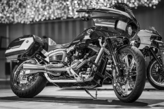 20250904-20250904-IMG_2141