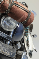 20251209-20251208-20251125-_MG_3277