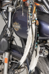 20251209-20251208-20251125-_MG_3279