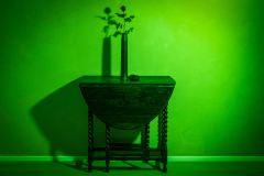 20240120-6960-x-4640-5